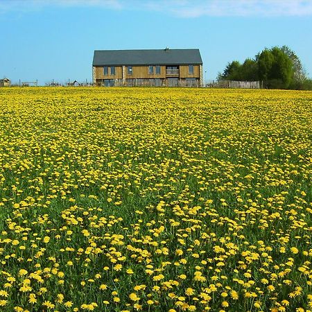 Chambres D'Hotes Les Trappeurs Silence & Nature Tenneville Dış mekan fotoğraf